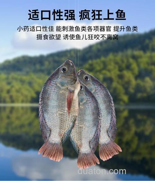 钓罗非饵料添加剂 嘿友鱼-霸道