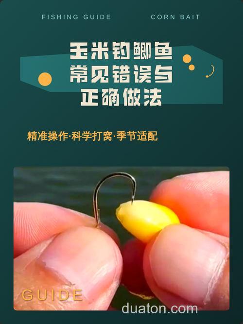 鲫鱼吃玉米吗玉米可以钓鲫鱼吗