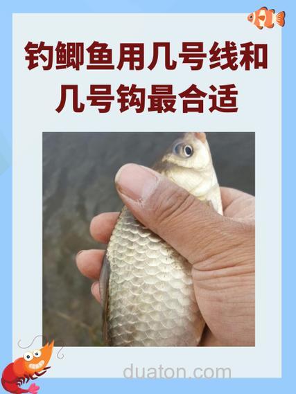 台钓小鲫鱼，钩、线、标怎样最合理？