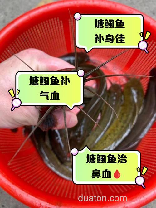 油潲水能喂鱼不，能不能放鱼塘里，对鱼有危害没有？