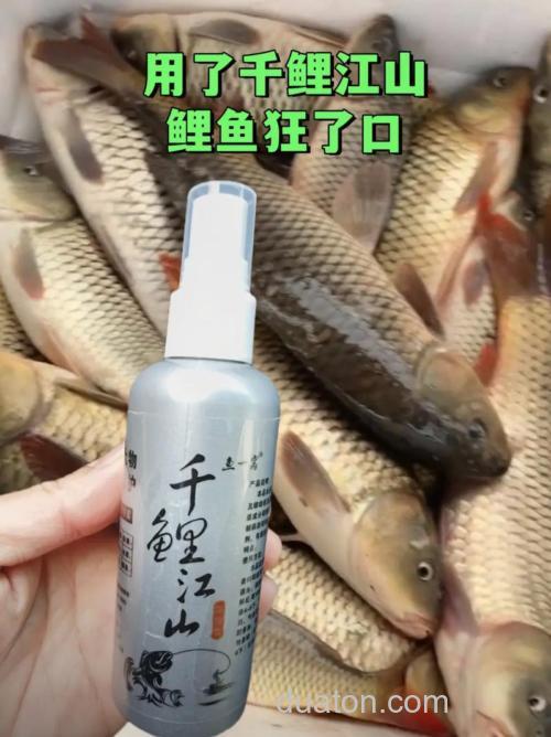 什么诱鱼剂好