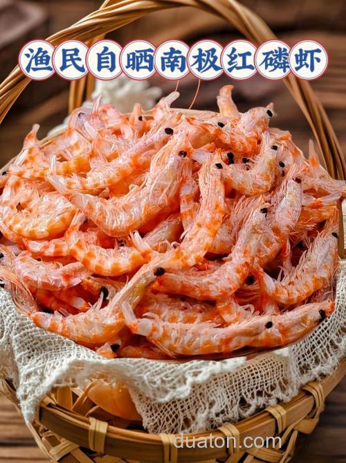 红虫蚯蚓和南极磷虾哪个更好？