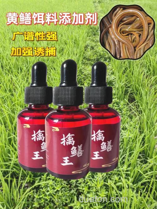 黄鳝用什么诱饵最好