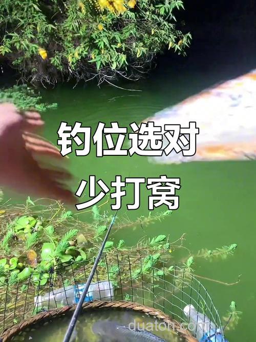 野钓打窝打在什么位置？