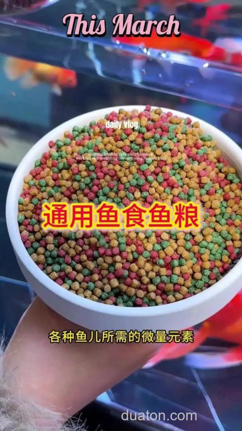 鲫鱼食料可以喂金鱼吗?