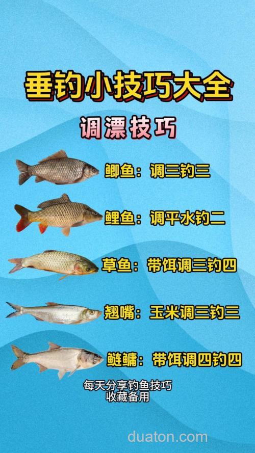 春季野钓多种对象鱼种的浮钓技巧