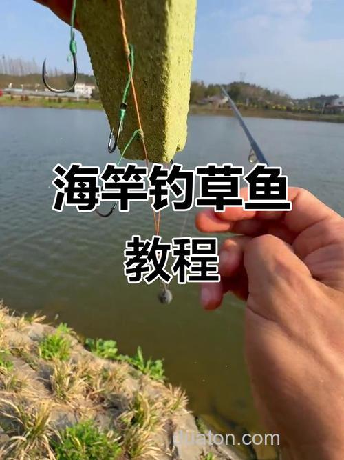 海竿钓草鲤技巧?
