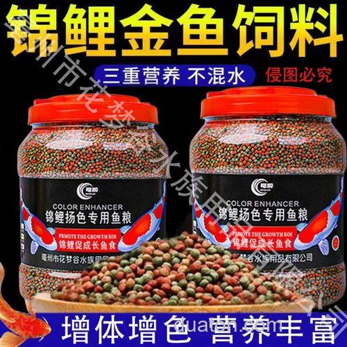 锦鲤吃什么饵料?