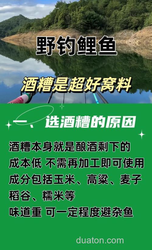 钓鲫鱼可以用玉米打窝吗?
