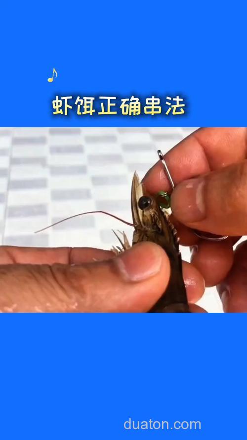 怎样制做虾饵