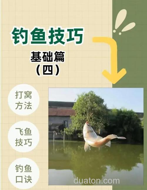 为什么钓鱼的窝子料用小米不用大米?
