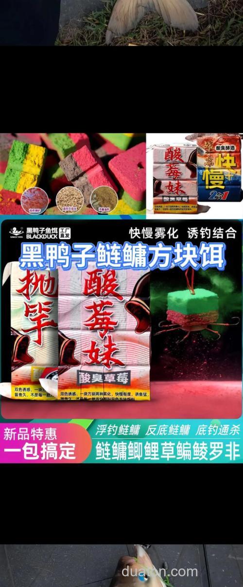 酸臭味鲢鳙饵料配方海竿?