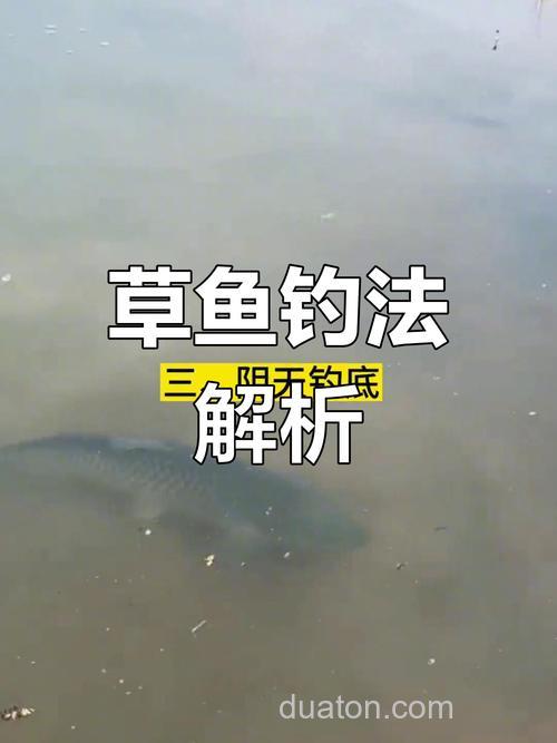 钓草鱼，为什么钓底比钓浮更好？