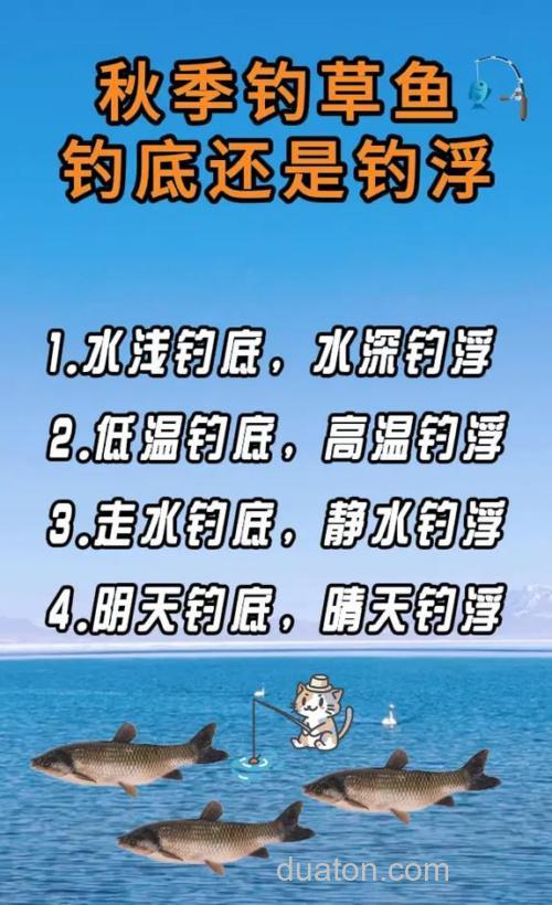秋季钓草鱼是钓底,还是钓浮?