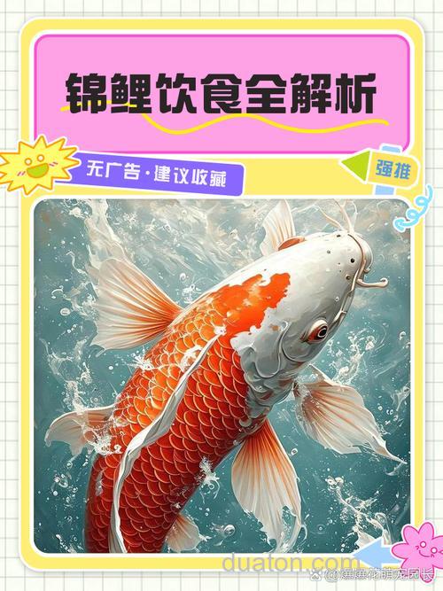 什么鲤鱼最爱吃?