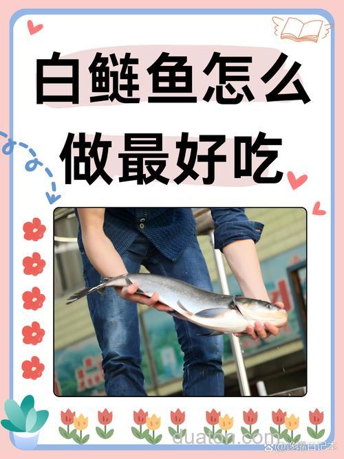 怎么做钓花白莲鱼食？