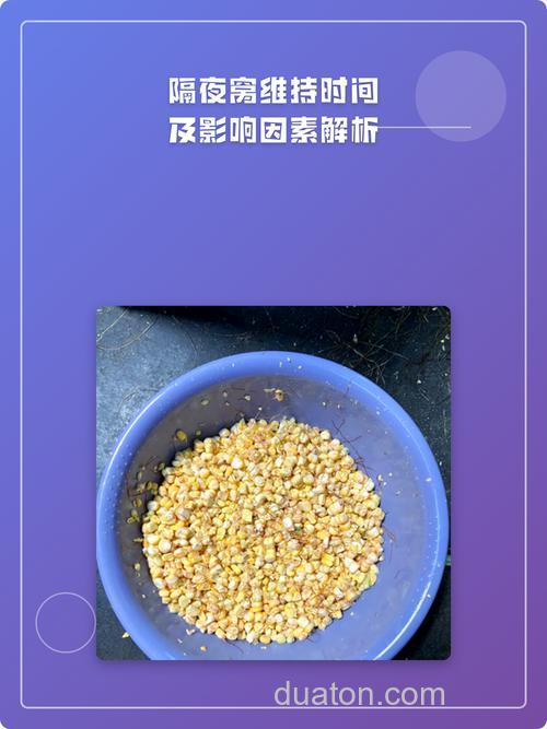 冬天隔夜窝多长时间打窝？