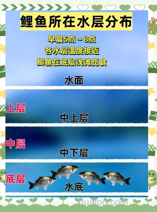 秋季鲫鱼在什么水层活动最多？