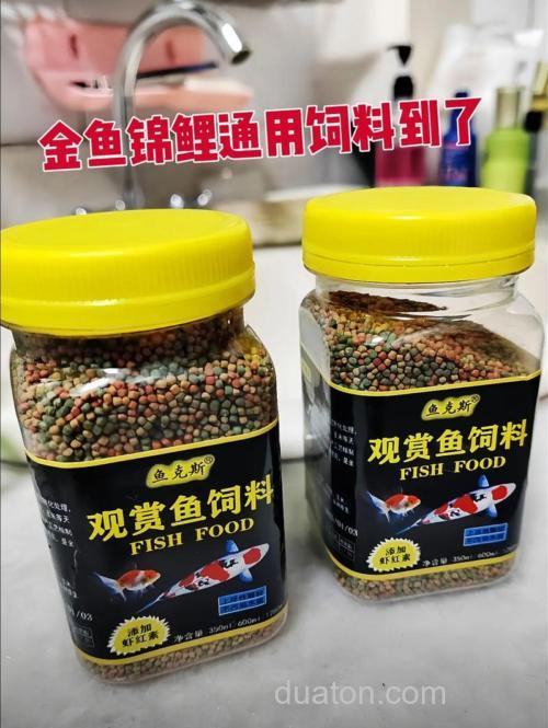 用金鱼饲料可以钓鱼吗？