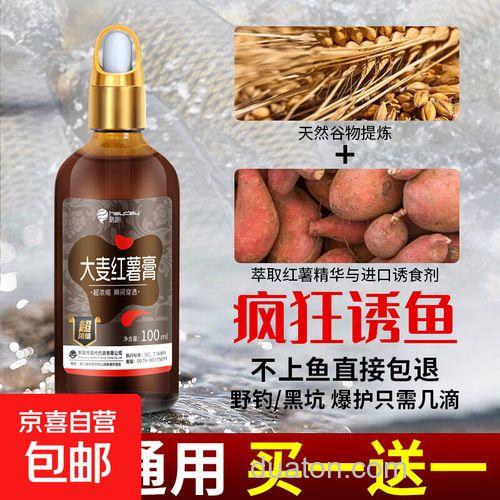 冬季钓鱼掺点大麦红薯膏怎么样