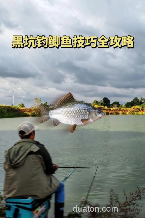 垂钓者如何在黑坑中垂钓工程鲫?