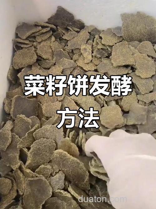 菜籽饼+酒米做窝料，如何调制(酒米是成品)