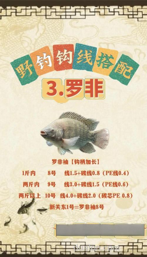 浅谈钓罗非鱼线组搭配和饵料配制分析