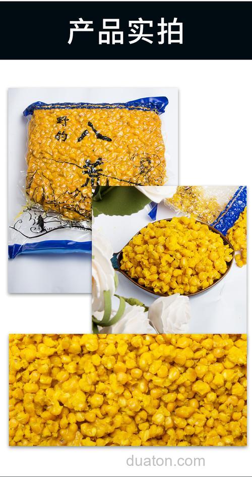 钓鲤鱼最好的饵料玉米?
