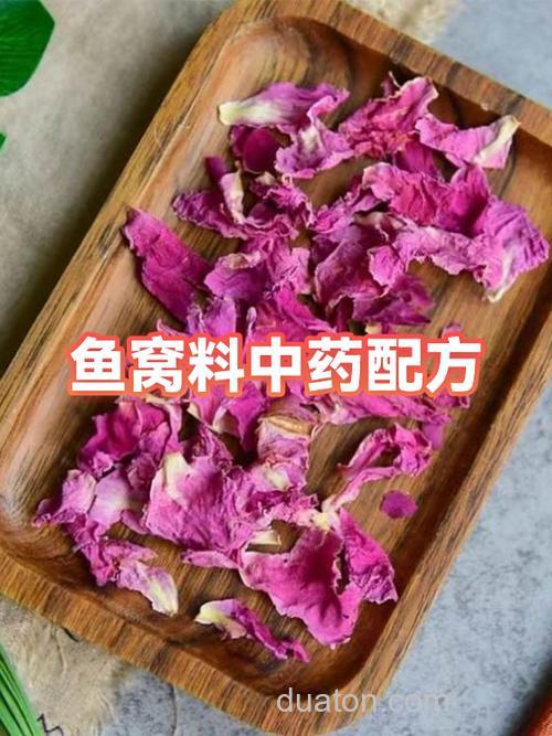 青鱼窝料药材配方?