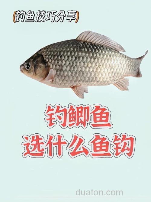 小杂鱼很多的池塘里用什么商品饵钓鲫鱼好用几号钩?