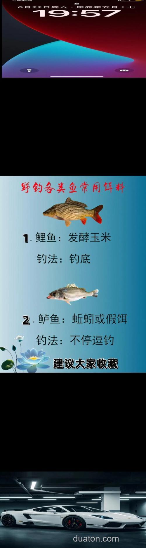 钓鱼用什么鱼药引鱼上钩‘
