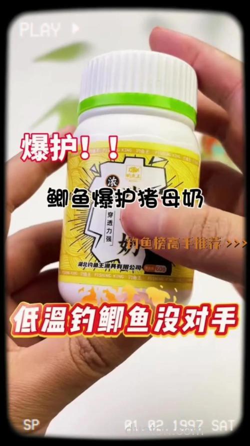 猪母奶钓鲫鱼最佳配方?