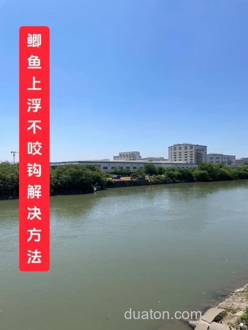 野钓鲫鱼异常现象之鱼不咬钩的应对方法
