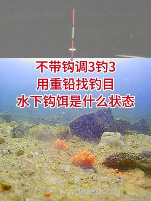 带钩调三钓三和不带钩调三钓三哪个好?