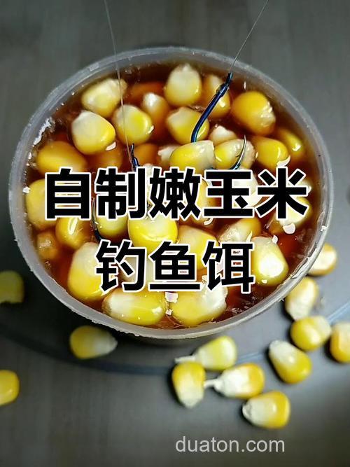 鲤鱼玉米饵料泡制方法？