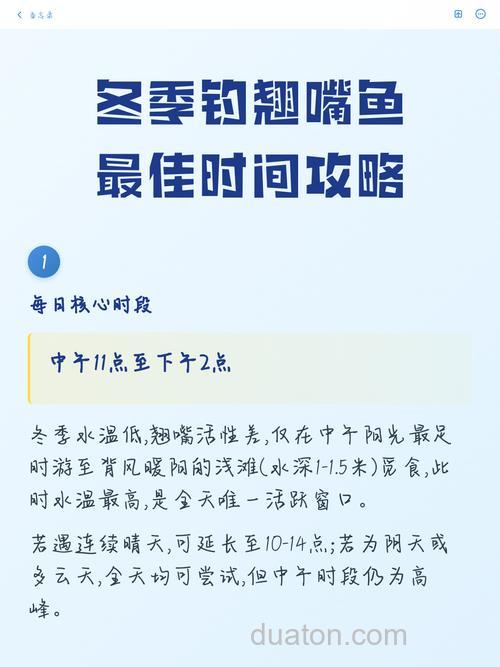 冬天什么时间钓鱼最佳