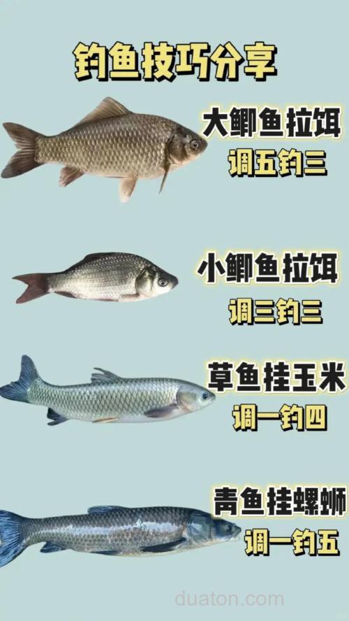 平时大家野钓,除了老三样,全能腥全能香之外,还有哪些比较好?