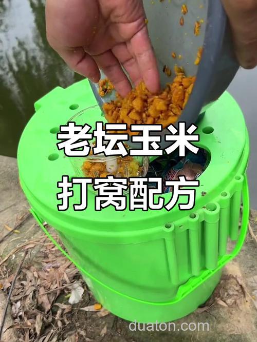 玉米打窝玉米钓有哪些技巧?