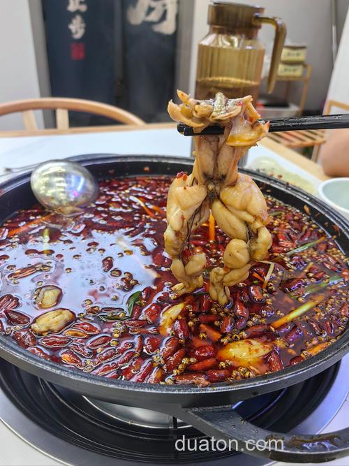 啤酒煮老蚕豆能钓鲤鱼?