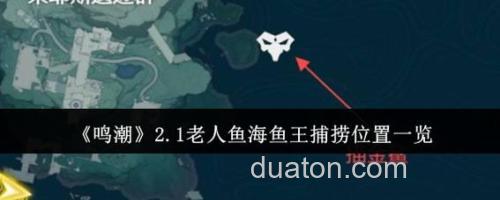 破晓传说鱼王怎么钓:鱼王的捕捞技巧分享