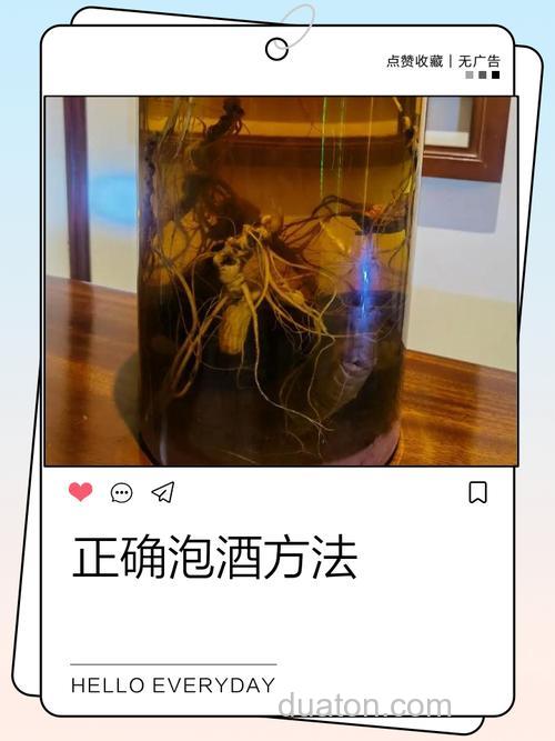 怎样泡麝香酒 有直接的地方吗?