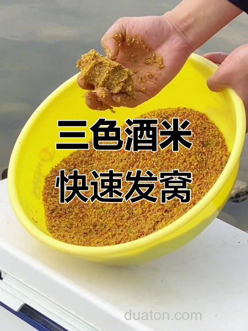酒米打窝多久发窝?酒米打窝多久补一次窝?