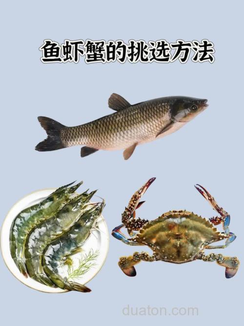 鱼虾蟹鳝鳅混养技术要点有哪些?