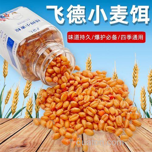 麦仁鱼饵做法?