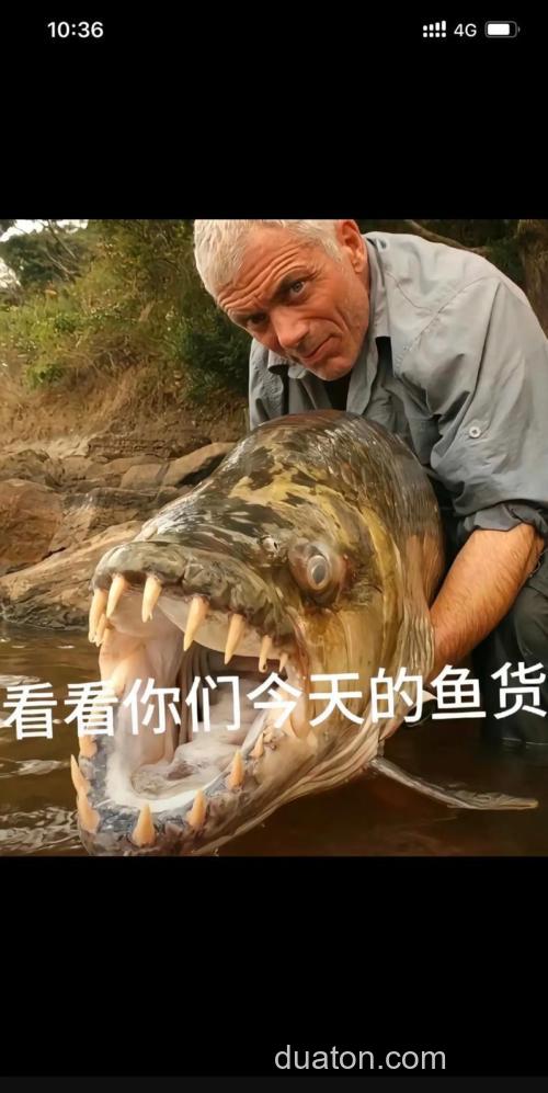 世界钓鱼大师排名前十名?