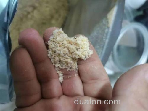 降温当天有哪些饵料可以用呢?