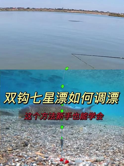 七星漂双钩正确的调漂方法是什么？