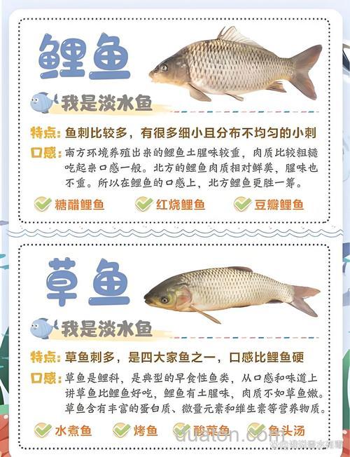 鲤鱼草鱼鲫鱼怎么区分？