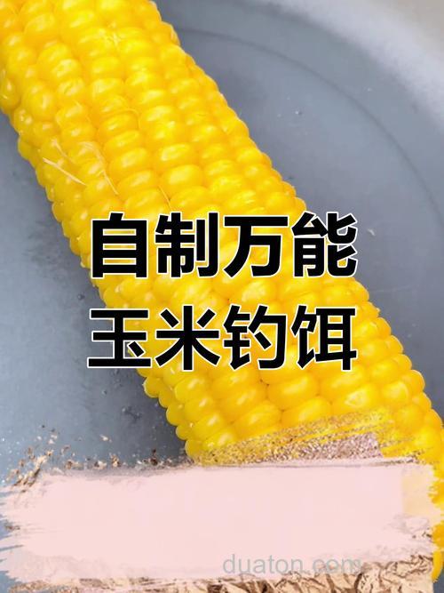 玉米用什么泡制钓鱼最好