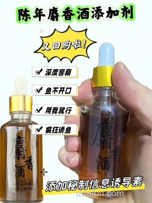 麝香能泡酒吗,